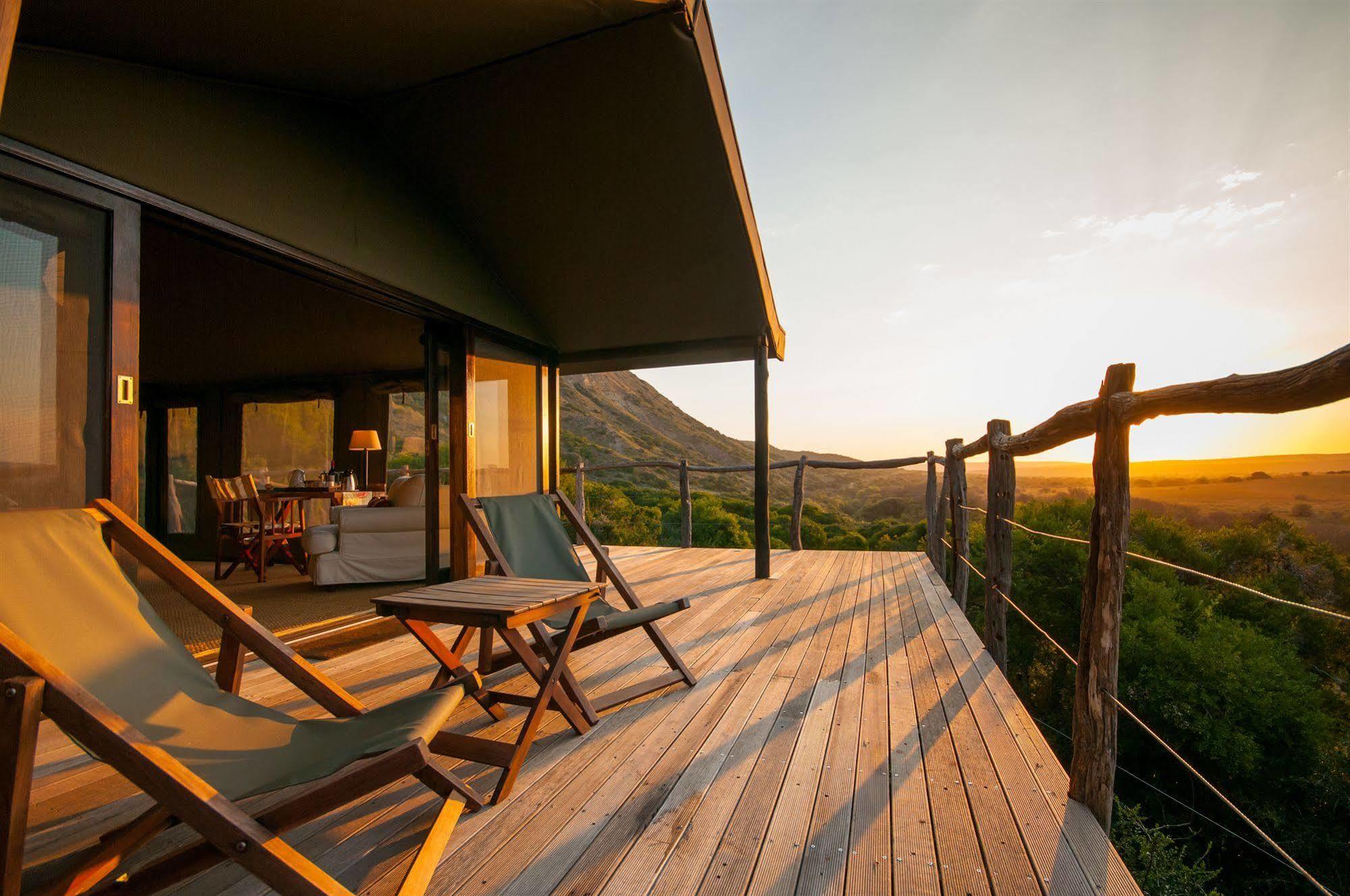 Hillsnek Safari Camp - Amakhala Wildreservaat Buitenkant foto