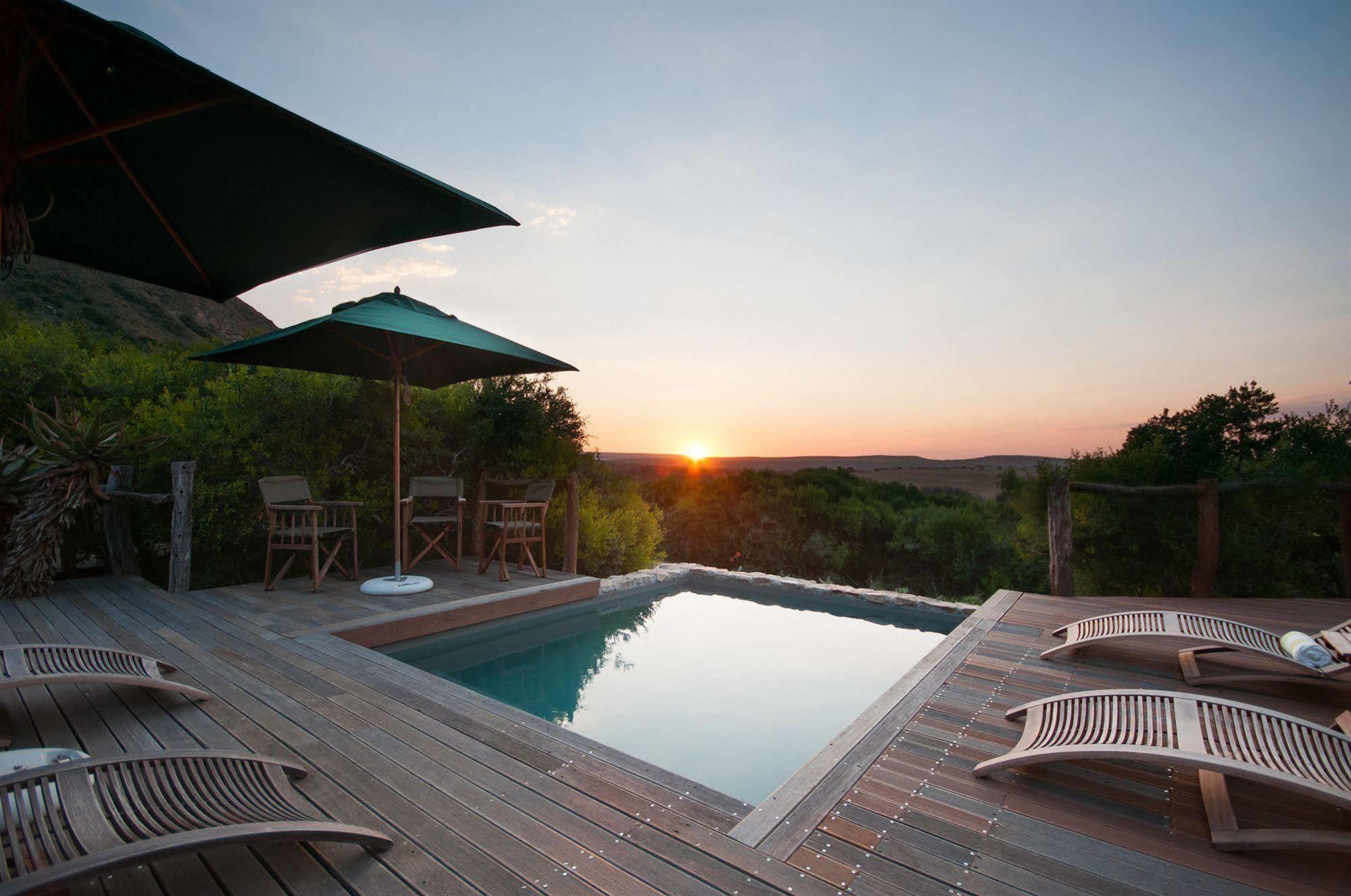 Hillsnek Safari Camp - Amakhala Wildreservaat Buitenkant foto