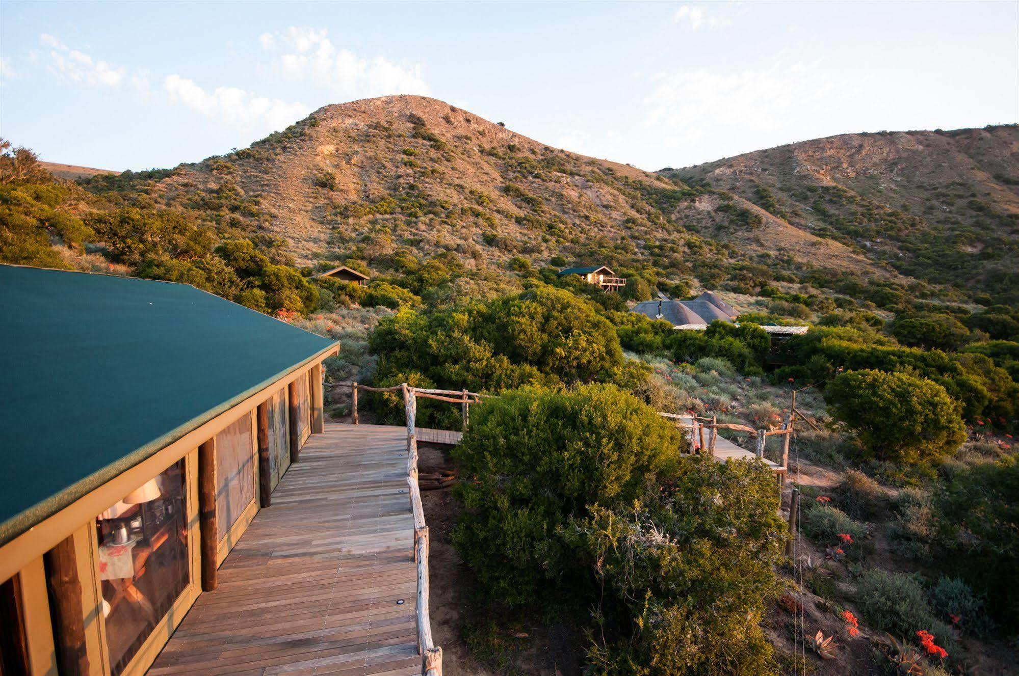 Hillsnek Safari Camp - Amakhala Wildreservaat Buitenkant foto