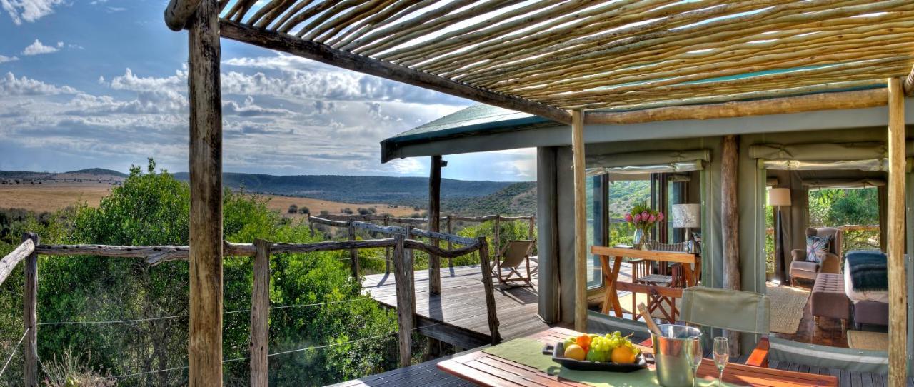Hillsnek Safari Camp - Amakhala Wildreservaat Buitenkant foto